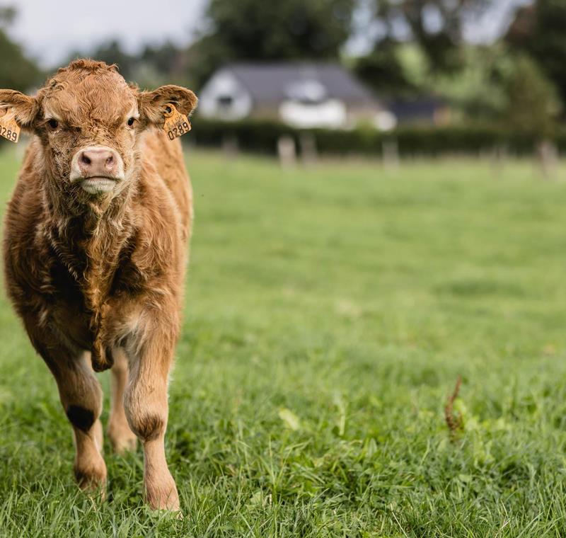 Philosophie - Landwirtschaft